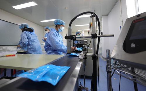 汇聚全球目光，沈阳启迪未来 迄今最大在线贸易展览迎来5000家海外采购商