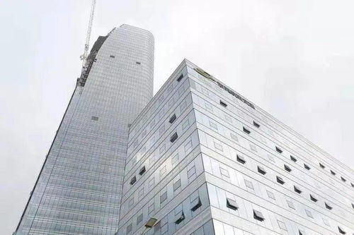 全份额中标！硅宝科技擎起东莞轨道交通大厦绿色建材大旗，彰显名优联盟企业硬核实力