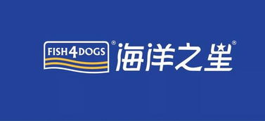 锁定机会，实现增长 第三节宠英荟演讲嘉宾及内容揭秘——沈阳科技